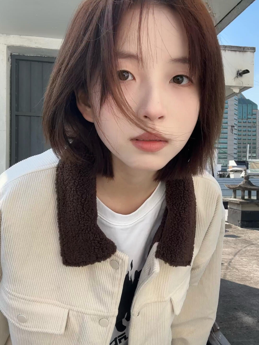 model_qing