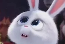 为什么当m/sub的人都要那么卑微？