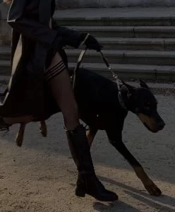 只想找女S的直女