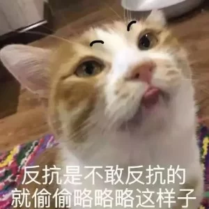 女生对男生最好奇的50个问题（02）