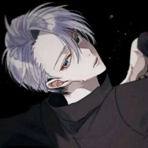 柏拉图式的D/S关系